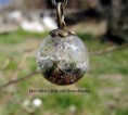 /album/fotogalerie-startseite/mini-chliini-walt-mit-strandflieder-bronze-jpg/